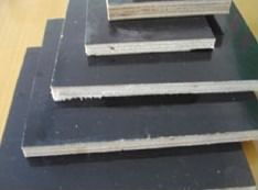 中通建材 構(gòu)筑未來的堅固基石